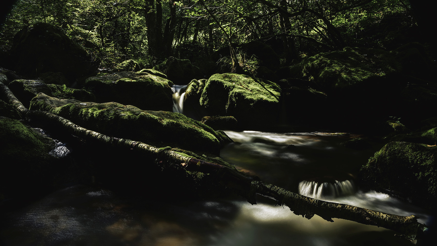 Gorges de la Canche Bourgogne1